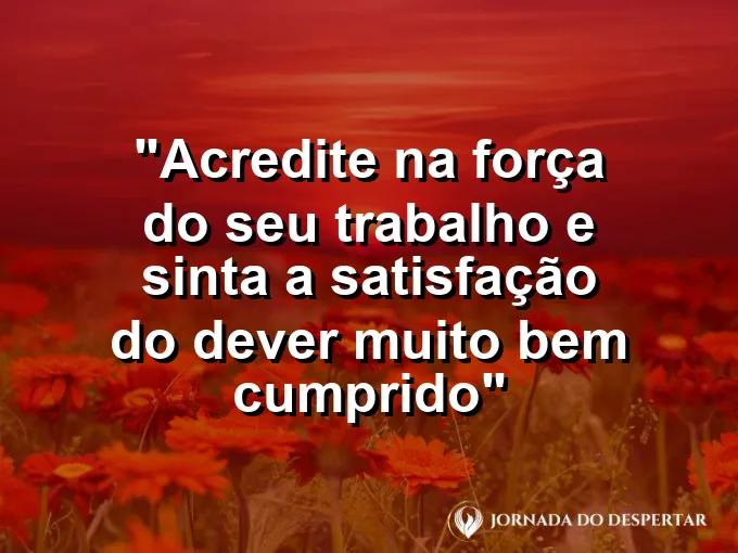 Ferramentas de carpinteiro organizadas em uma bancada iluminada pela luz solar forte e clara de manhã.