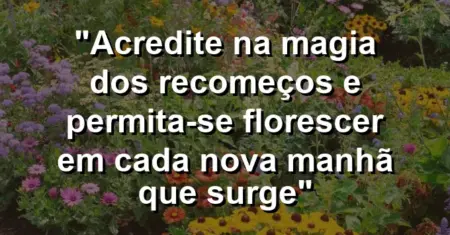 “Acredite na magia dos recomeços e permita-se florescer em cada nova manhã que surge”