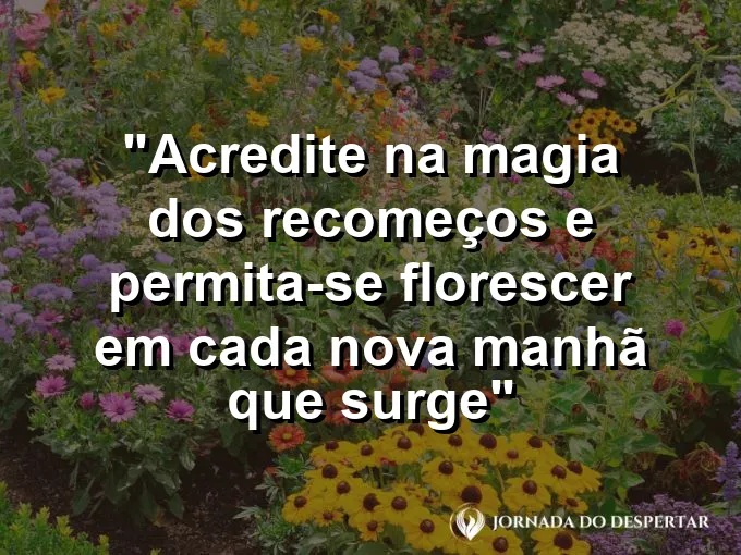 Pequeno broto verde saindo de uma semente na terra sob a luz solar clara e muito forte.