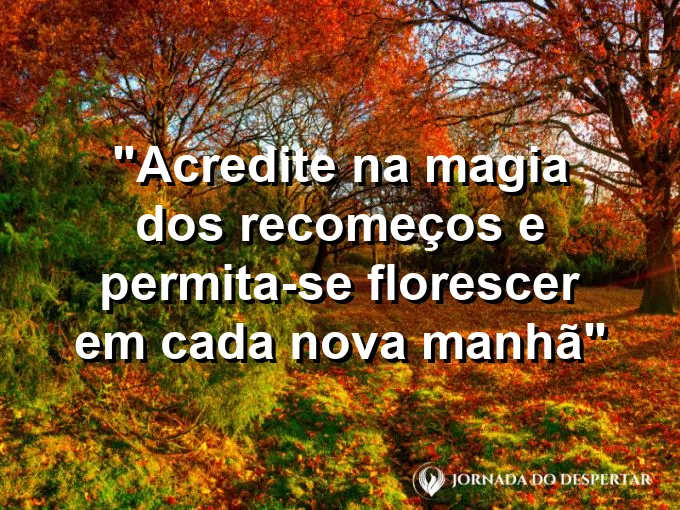 Pequeno broto verde saindo de uma semente na terra sob a luz solar clara e muito forte hoje.