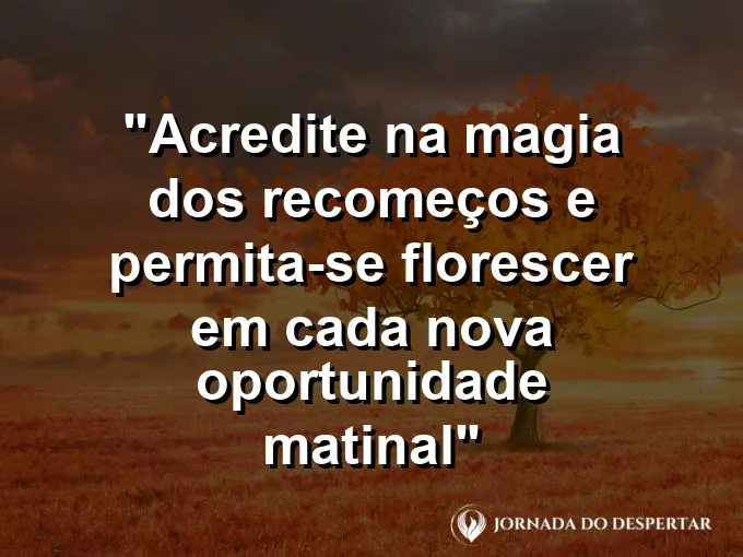 Flor colorica desabrochando em um vaso na janela recebendo a luz solar de um novo dia.