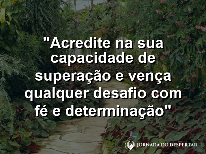 Pequena planta verde brotando através de uma fenda no asfalto quente sob o sol forte de hoje.