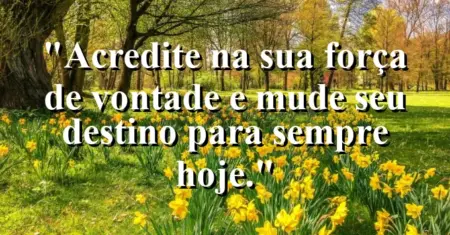 “Acredite na sua força de vontade e mude seu destino para sempre hoje.”