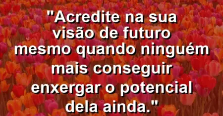 “Acredite na sua visão de futuro mesmo quando ninguém mais conseguir enxergar o potencial dela ainda.”