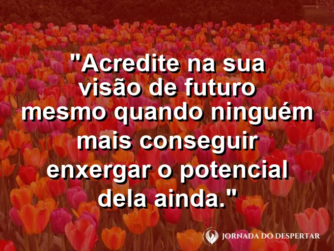 Uma pessoa olhando para um horizonte vasto e iluminado por uma luz mágica que representa o sucesso futuro.