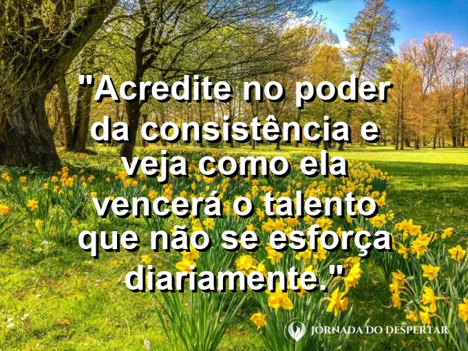 Uma tartaruga caminhando com firmeza em uma estrada de terra, deixando pegadas profundas e constantes.