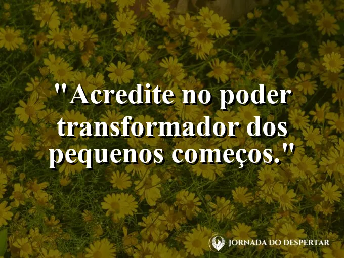 Pequeno broto verde saindo de uma terra rica e úmida.