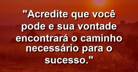 “Acredite que você pode e sua vontade encontrará o caminho necessário para o sucesso.”