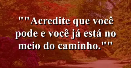 “Acredite que você pode e você já está no meio do caminho.”
