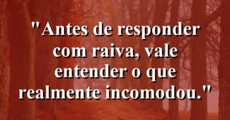 “Antes de responder com raiva, vale entender o que realmente incomodou.”