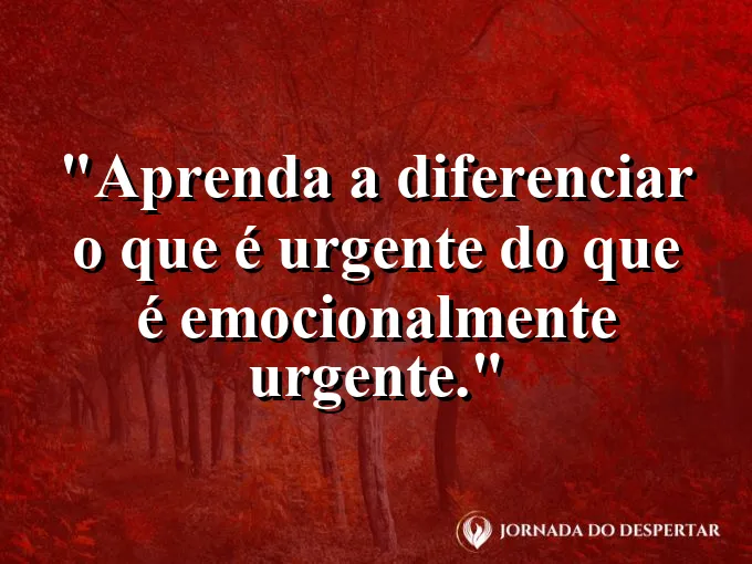 Frase sobre urgência: Aprenda a diferenciar o que é urgente do que é emocionalmente urgente.