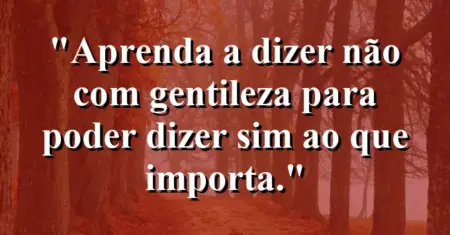 “Aprenda a dizer não com gentileza para poder dizer sim ao que importa.”