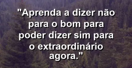 “Aprenda a dizer não para o bom para poder dizer sim para o extraordinário agora.”