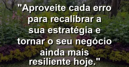 “Aproveite cada erro para recalibrar a sua estratégia e tornar o seu negócio ainda mais resiliente hoje.”