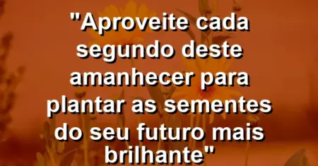 “Aproveite cada segundo deste amanhecer para plantar as sementes do seu futuro mais brilhante”