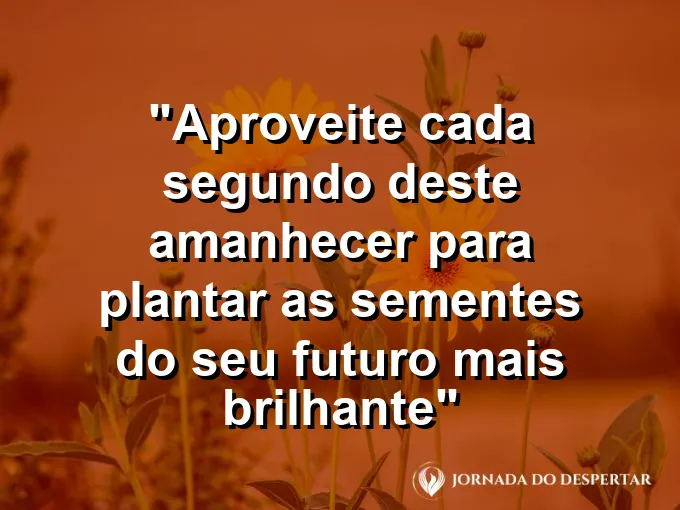 Mãos depositando uma semente em terra fértil sob o calor do sol suave de uma manhã.