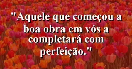 “Aquele que começou a boa obra em vós a completará com perfeição.”