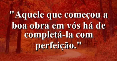 “Aquele que começou a boa obra em vós há de completá-la com perfeição.”