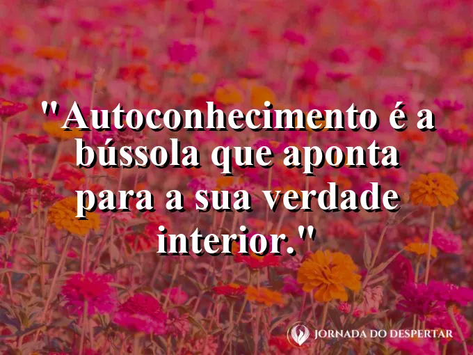 Uma bússola dourada sobre um fundo de veludo azul marinho.