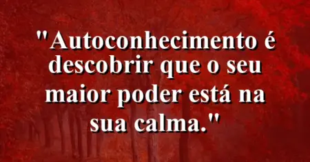 Autoconhecimento é descobrir que o seu maior poder está na sua calma.