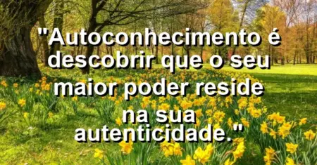 Autoconhecimento é descobrir que o seu maior poder reside na sua autenticidade.