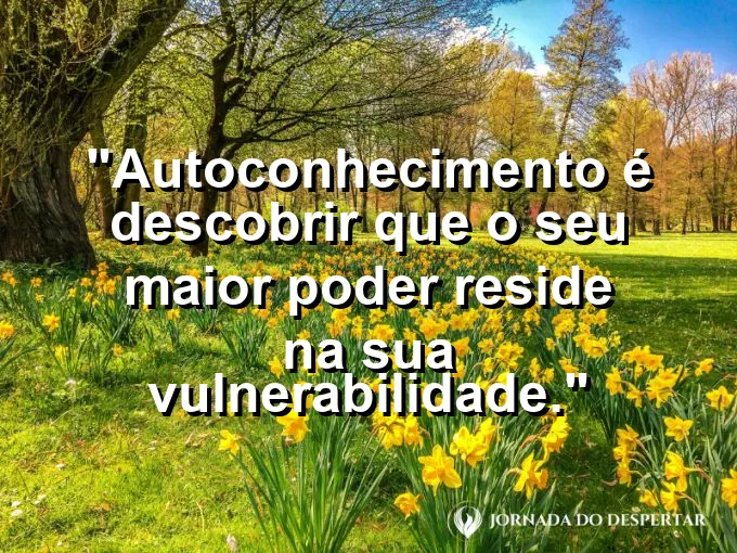 Uma flor delicada crescendo perfeitamente entre rochas brutas.