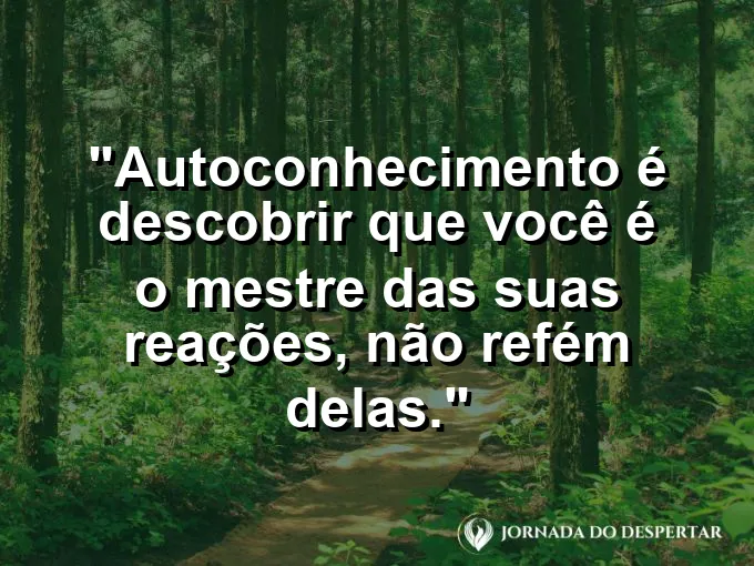 Alguém segurando as rédeas de um cavalo branco com serenidade.