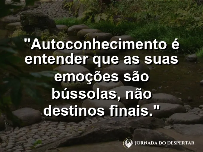 Uma agulha de bússola oscilando até apontar para o norte real.