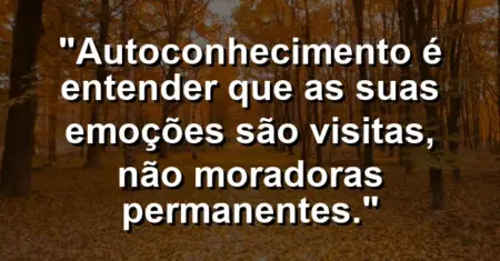 Autoconhecimento é entender que as suas emoções são visitas, não moradoras permanentes.