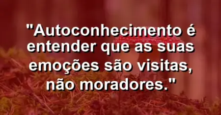 Autoconhecimento é entender que as suas emoções são visitas, não moradores.