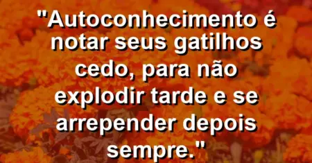 Autoconhecimento é notar seus gatilhos cedo, para não explodir tarde e se arrepender depois sempre.