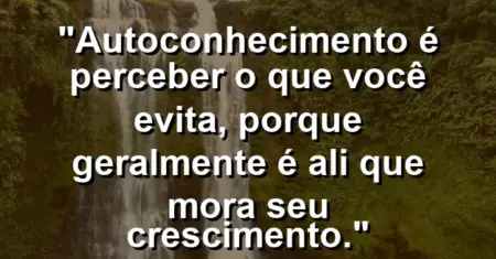 Autoconhecimento é perceber o que você evita, porque geralmente é ali que mora seu crescimento.