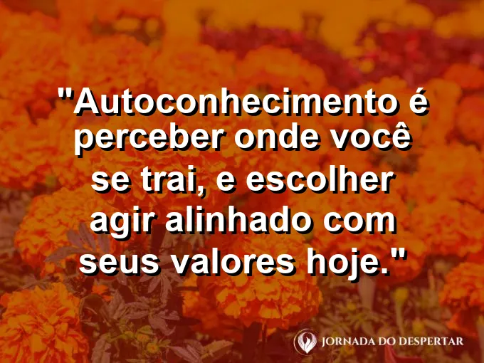 Frase sobre autoconhecimento e autoestima: Autoconhecimento é perceber onde você se trai, e escolher agir alinhado com seus valores hoje.