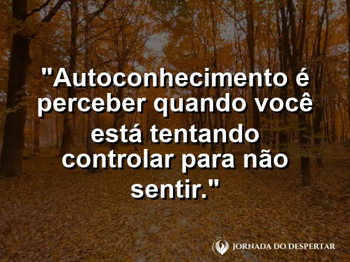 Frase sobre autoconhecimento e autoestima: Autoconhecimento é perceber quando você está tentando controlar para não sentir.