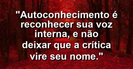 Autoconhecimento é reconhecer sua voz interna, e não deixar que a crítica vire seu nome.