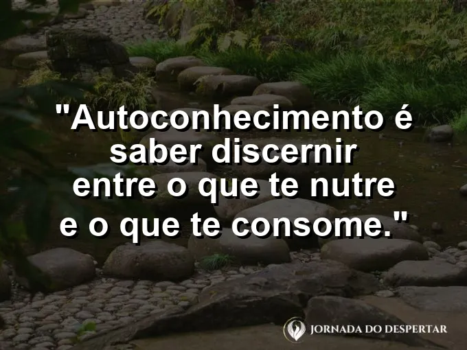 Alguém colhendo frutas maduras em um pomar ensolarado.