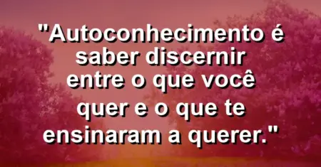Autoconhecimento é saber discernir entre o que você quer e o que te ensinaram a querer.
