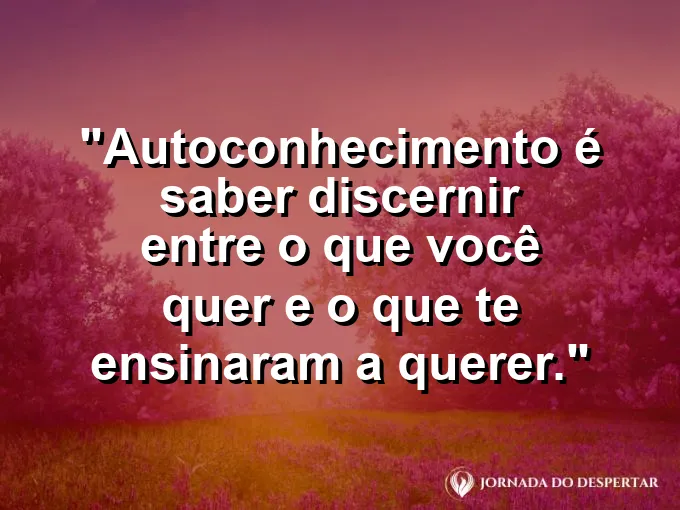 Uma pessoa separando sementes de ouro de pedras comuns.