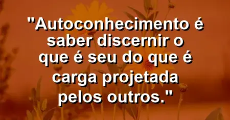 Autoconhecimento é saber discernir o que é seu do que é carga projetada pelos outros.