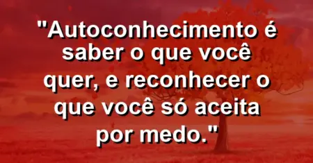 Autoconhecimento é saber o que você quer, e reconhecer o que você só aceita por medo.