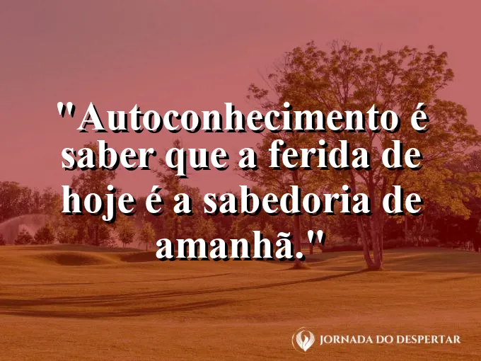 Uma cicatriz dourada na técnica de Kintsugi em um vaso de cerâmica.