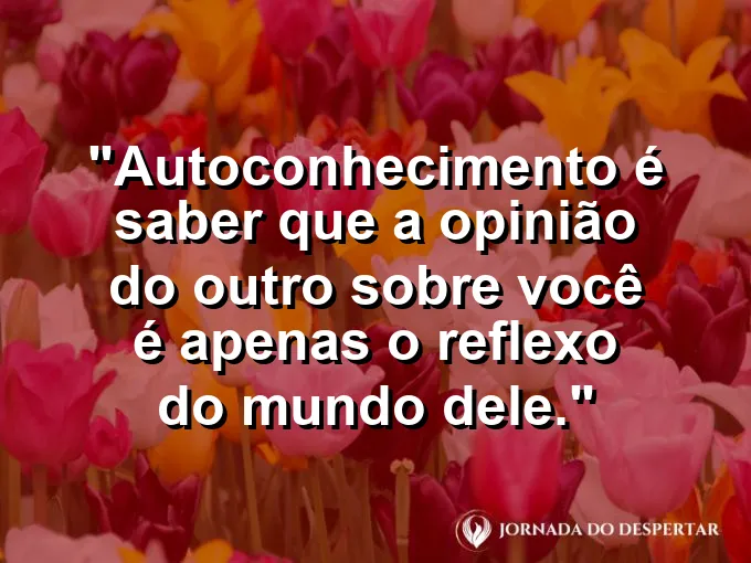 Um espelho refletindo uma paisagem diferente do cenário real.
