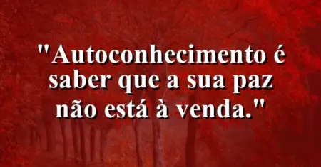 Autoconhecimento é saber que a sua paz não está à venda.