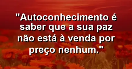 Autoconhecimento é saber que a sua paz não está à venda por preço nenhum.