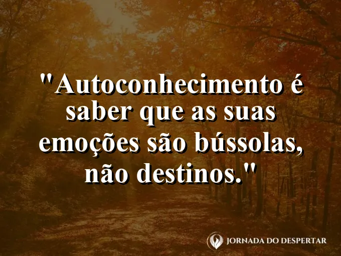 Uma agulha de bússola oscilando até apontar para o norte.