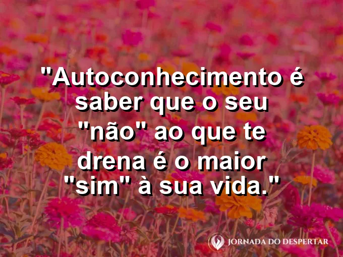 Uma mão sinalizando um limite calmo e inegociável.