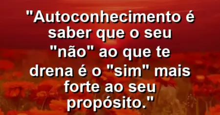 Autoconhecimento é saber que o seu “não” ao que te drena é o “sim” mais forte ao seu propósito.