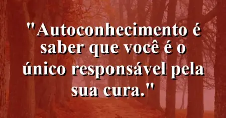 Autoconhecimento é saber que você é o único responsável pela sua cura.