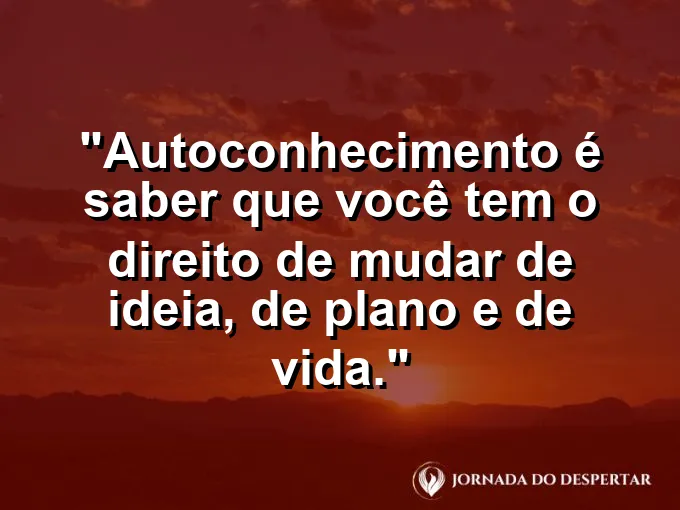 Uma borboleta abandonando o casulo sob a luz da manhã.