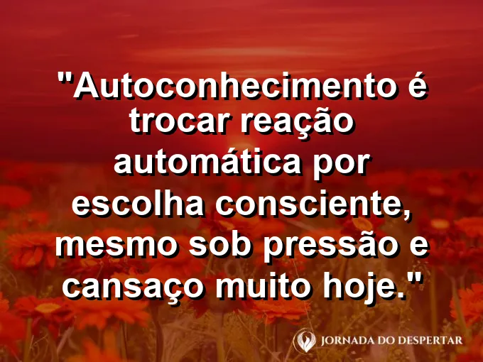 Frase sobre autoconhecimento e autoestima: Autoconhecimento é trocar reação automática por escolha consciente, mesmo sob pressão e cansaço muito hoje.
